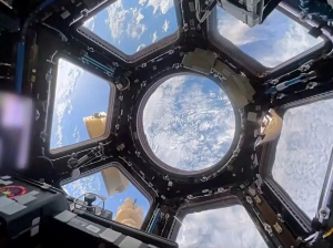 На МКС проводят эксперимент по влиянию невесомости на ориентацию в пространстве